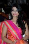 Sharmila Mandre