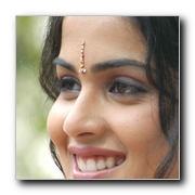 Actress Genelia Gallery