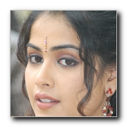 Actress Genelia Gallery