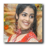 Actress Genelia Gallery