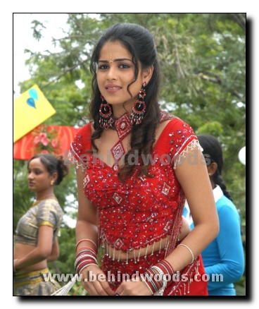 Actress Genelia Gallery