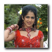 Actress Genelia Gallery