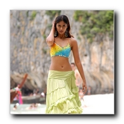 Ileana Gallery