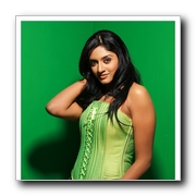 Actress Vimala Raman Gallery