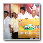 Solli Adippen Audio Release Gallery