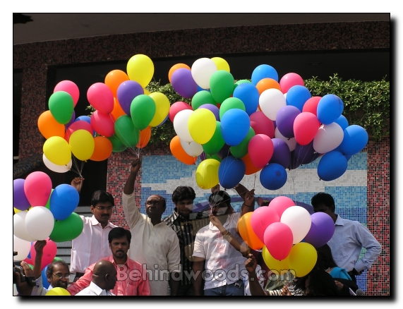 International film festival in Chennai - Gallery