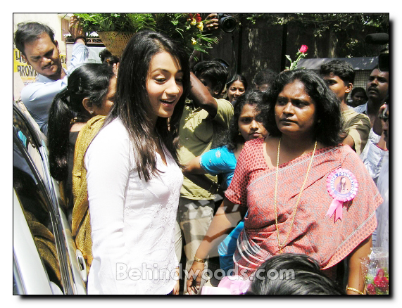 Trisha's Noble Birthday Celebrations - Gallery