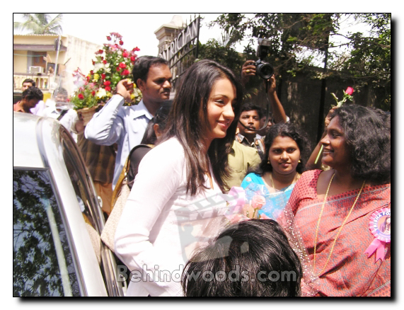 Trisha's Noble Birthday Celebrations - Gallery