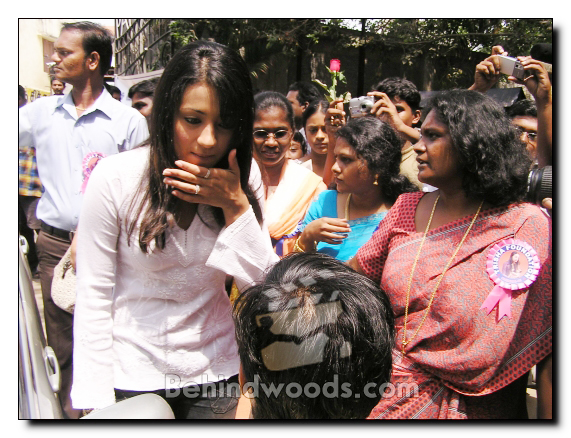 Trisha's Noble Birthday Celebrations - Gallery