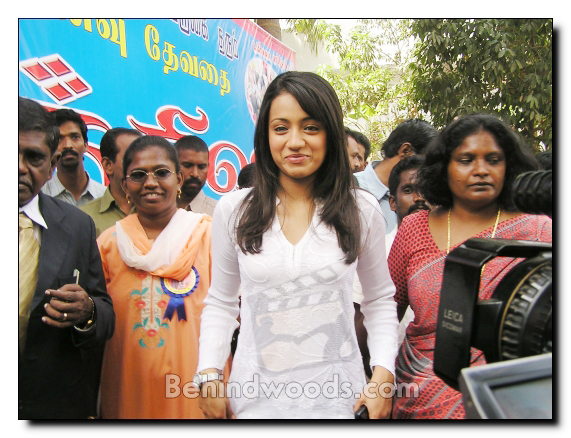 Trisha's Noble Birthday Celebrations - Gallery