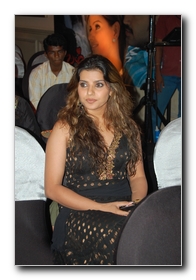 Dhavam Audio Launch - Gallery