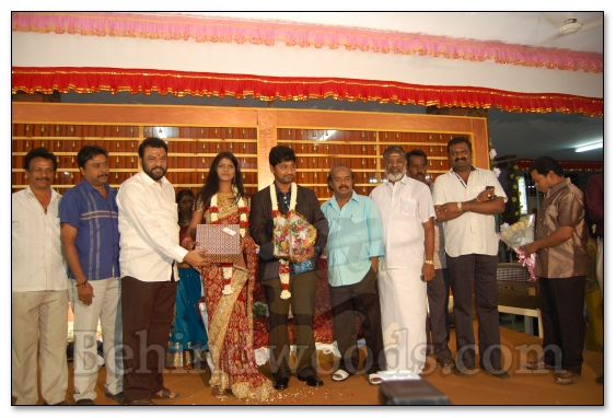 Ahathian's Daughter Marriage Reception - Gallery 