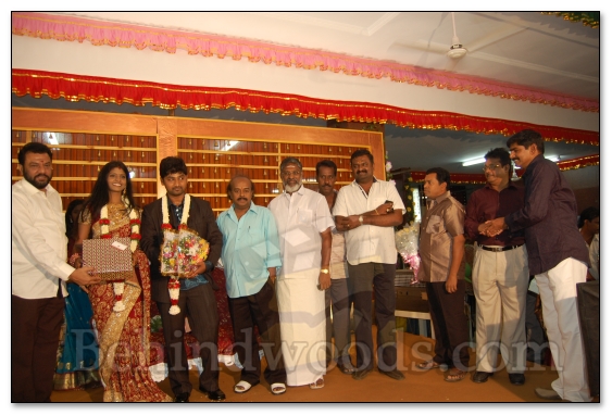 Ahathian's Daughter Marriage Reception - Gallery 