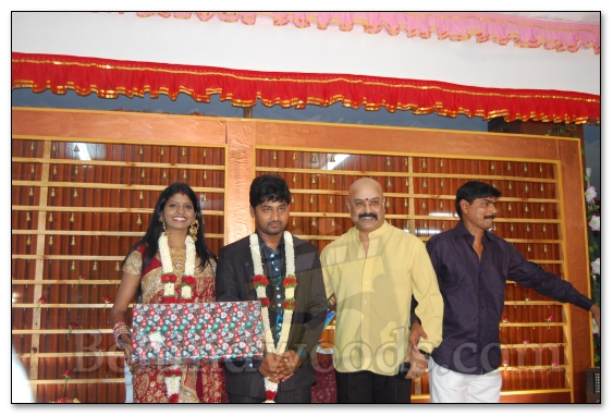 Ahathian's Daughter Marriage Reception - Gallery 