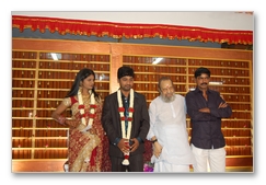 Ahathian's Daughter Marriage Reception - Gallery 