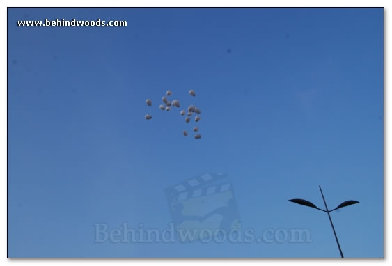 Suriya & Karthi join protestors in Tidel Park - Images