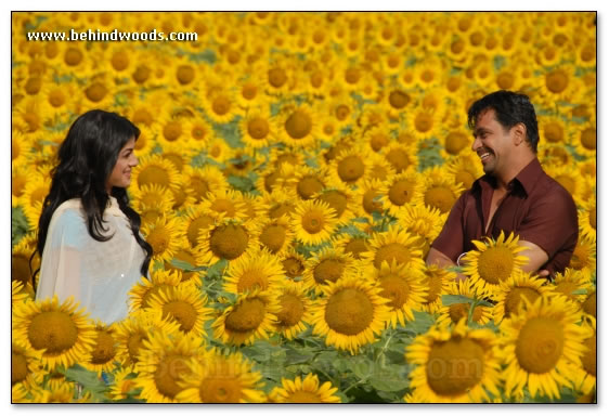 Durai Movie Gallery 