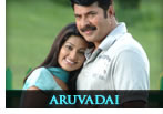 Aruvadai