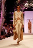 Lakme Fashion Week 2014