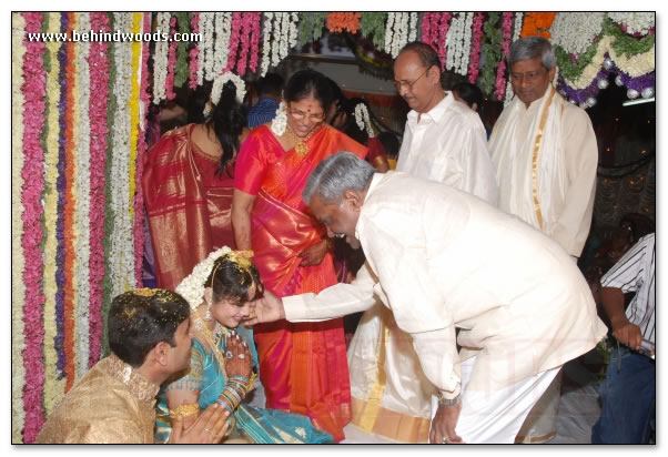 Meena Wedding - Images