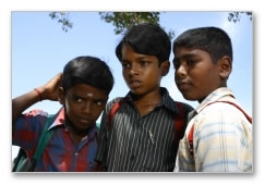 Pasanga - Images