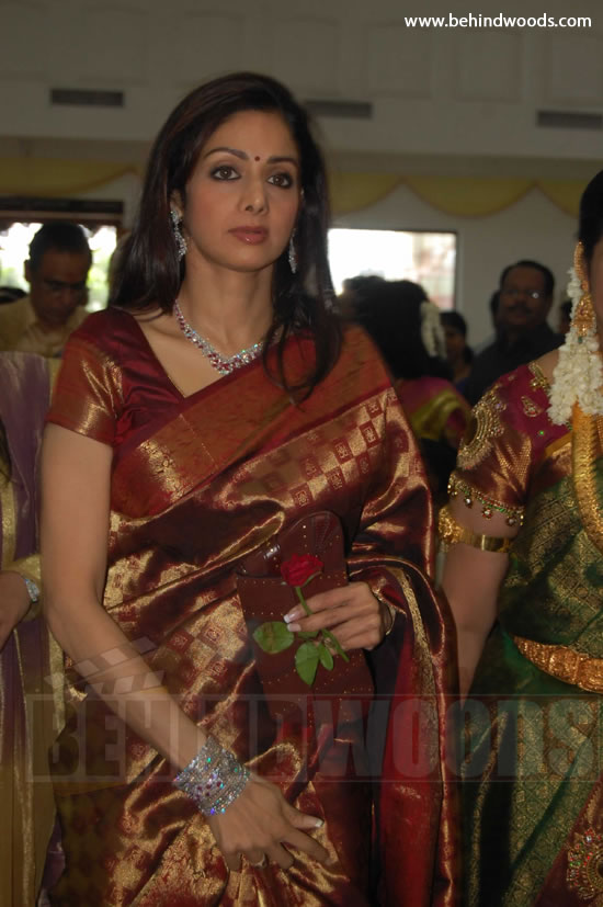 Sridevi Wedding - Images