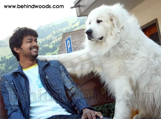 Villu Shooting Spot  : Images