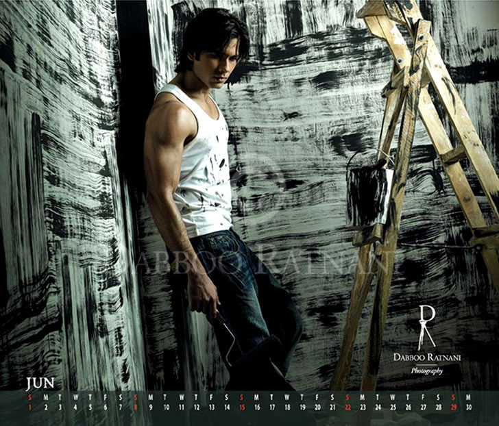 Dabboo Ratnani Calendar 2008 - Images