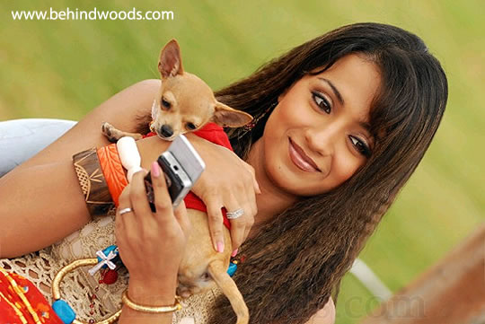 Trisha Actress Gallery