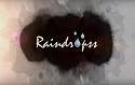 Raindropss Promo AV
