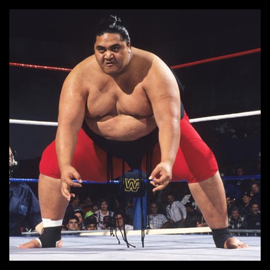 Yokozuna