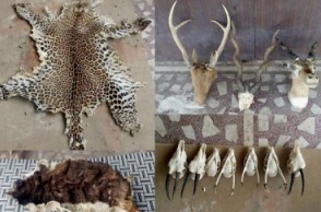 Ex-Colonel busted for wildlife trade