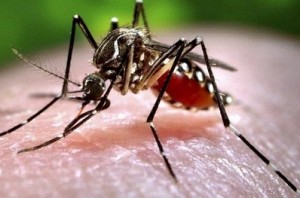 India planning to eliminate malaria by 2030