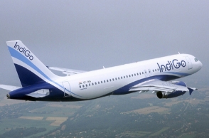 IndiGo aircraft grounded after suffering bird hit
