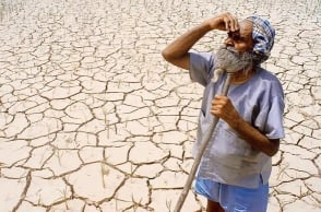 SC orders TN govt to file a detailed reply on farmers’ suicide issue