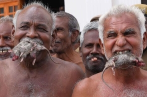 TN farmers stage protest by holding live mice in mouths