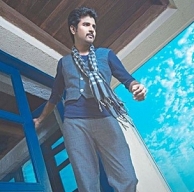 siva-karthikeyan-and-hansika-look-for-an-auspicious-time-photos-pictures-stills