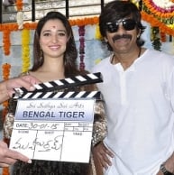 Shooting updates about the Telugu film Bengal Tiger, starring Ravi Teja, Tamannaah and Rashi Khanna.