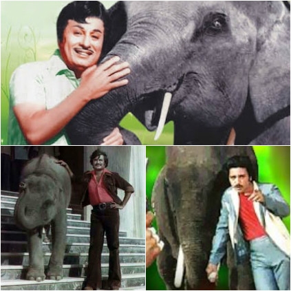 Tamil stars and their tryst with elephant films