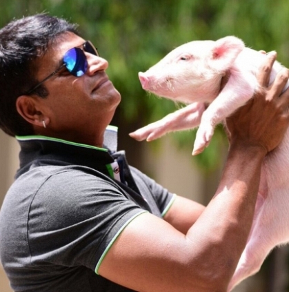Telugu actor Ravi Babu makes a film with a piglet
