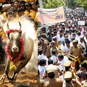 ''The Jallikattu protest is massive.. never seen anything this massive'' - Bollywood director