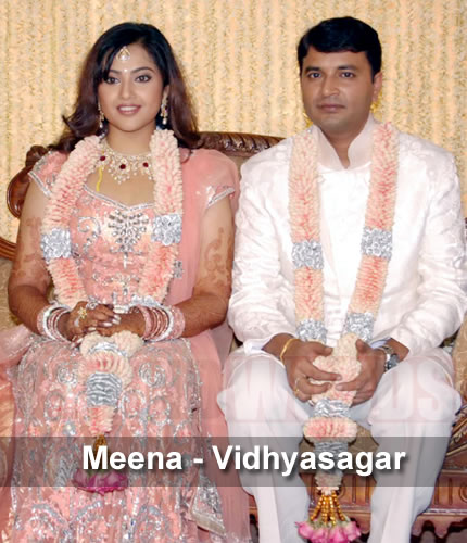 Meena - Vidhyasagar