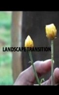 Landscape in Transition