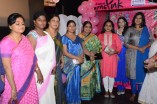 Chennai Turns Pink Booth Launch in Sathyam