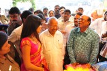 Coimbatore Kalanikethan Inaugurated by Amala Paul
