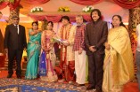 Diamond Babu Son Wedding Reception
