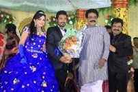Director R. Pandiarajan's Son Prithvirajan Weds Akshaya Wedding Reception