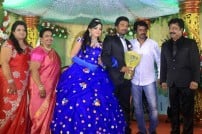 Director R. Pandiarajan's Son Prithvirajan Weds Akshaya Wedding Reception