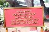 Planted Tress In Remembrance Of WW-1 Centenary 