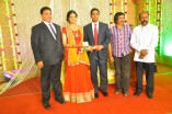 Producer Venkatramani's daughter Anusha & Varunkumar Wedding Reception